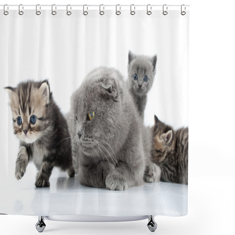 Personality  Mother Cat With Kittens Shower Curtains