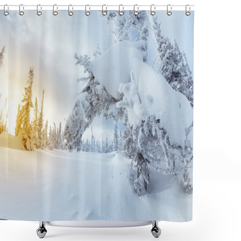 Personality  Winter Landscape With Trees Shower Curtains