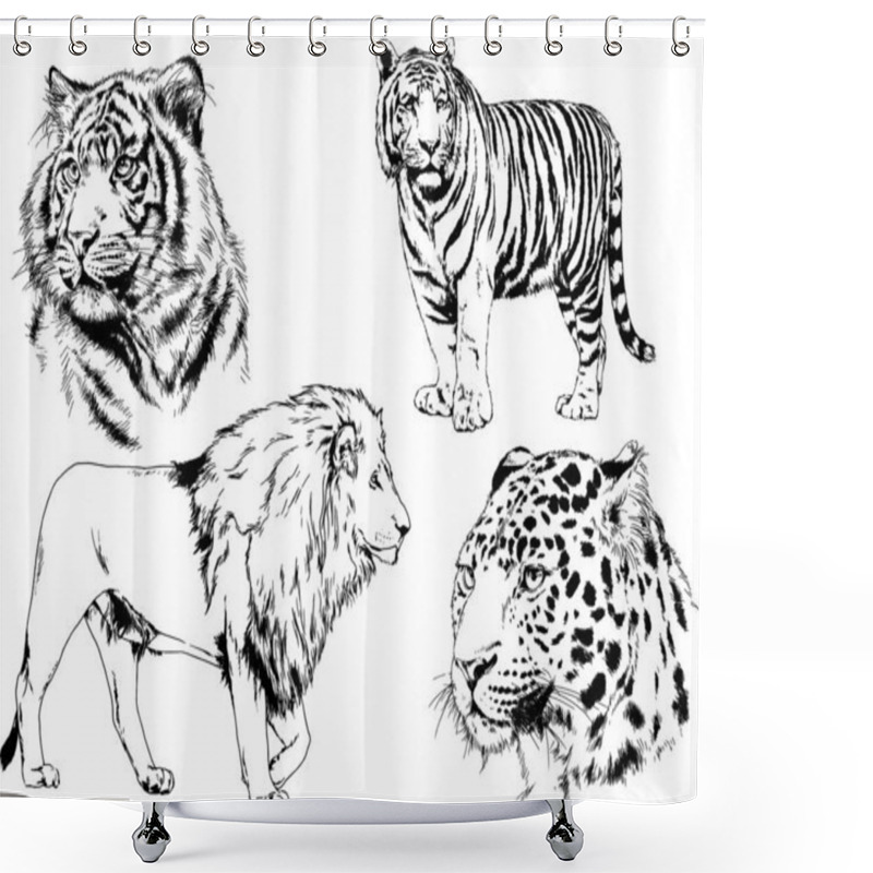 Personality  Set Of Vector Drawings On The Theme Of Predators Tigers Are Drawn By Hand With Ink Tattoo Logos Shower Curtains