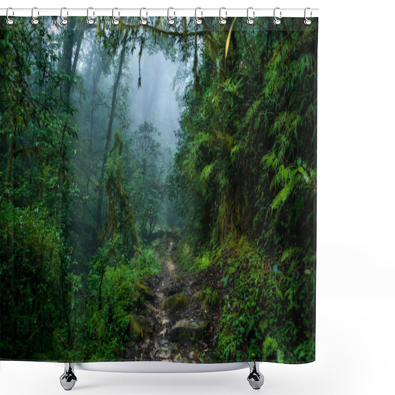 Personality  Landscape Of A Misty Forest Trail During The Famous Goechala Trek Of West Sikkim Shower Curtains