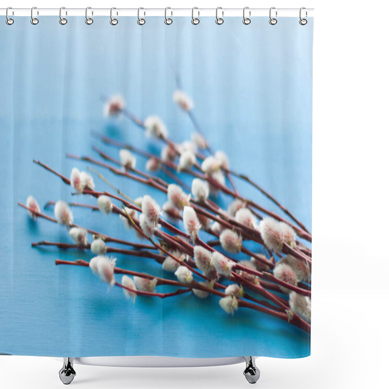 Personality  Willow Twigs With Blossoming Buds On A Blue Background Shower Curtains