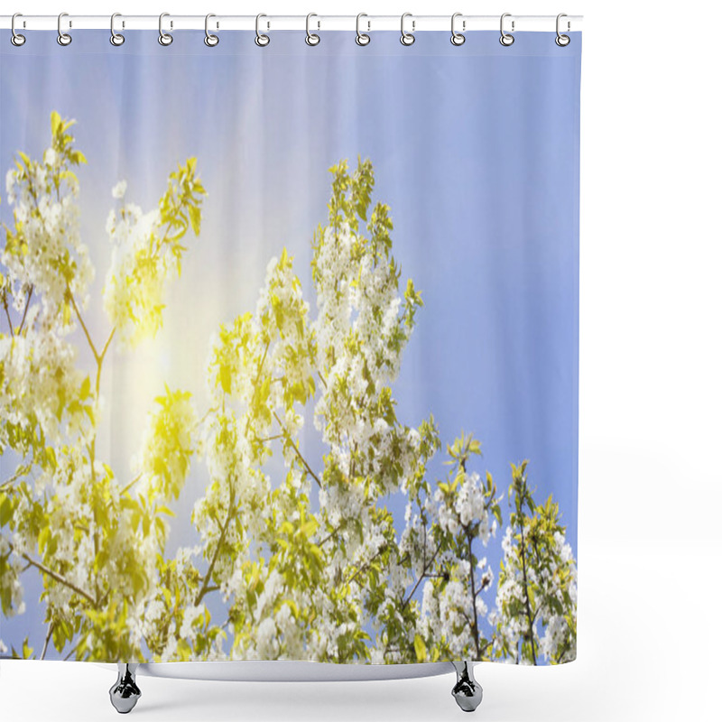 Personality  Beautiful Spring Tree Shower Curtains