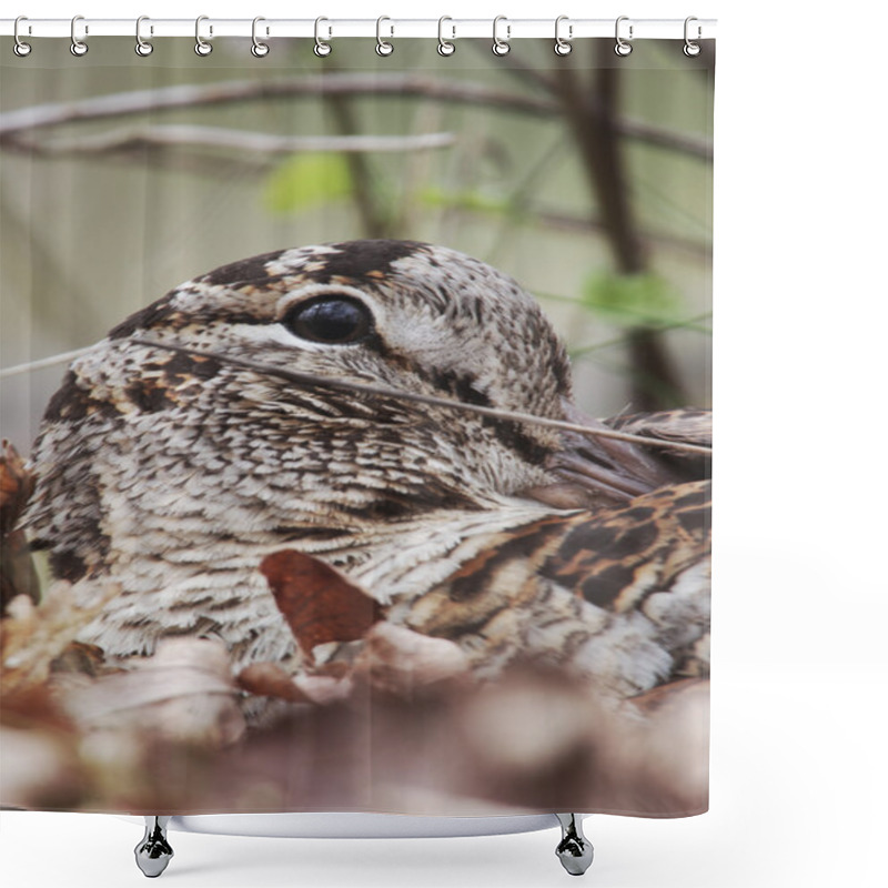 Personality  Woodcock, Scolopax Rusticola Shower Curtains