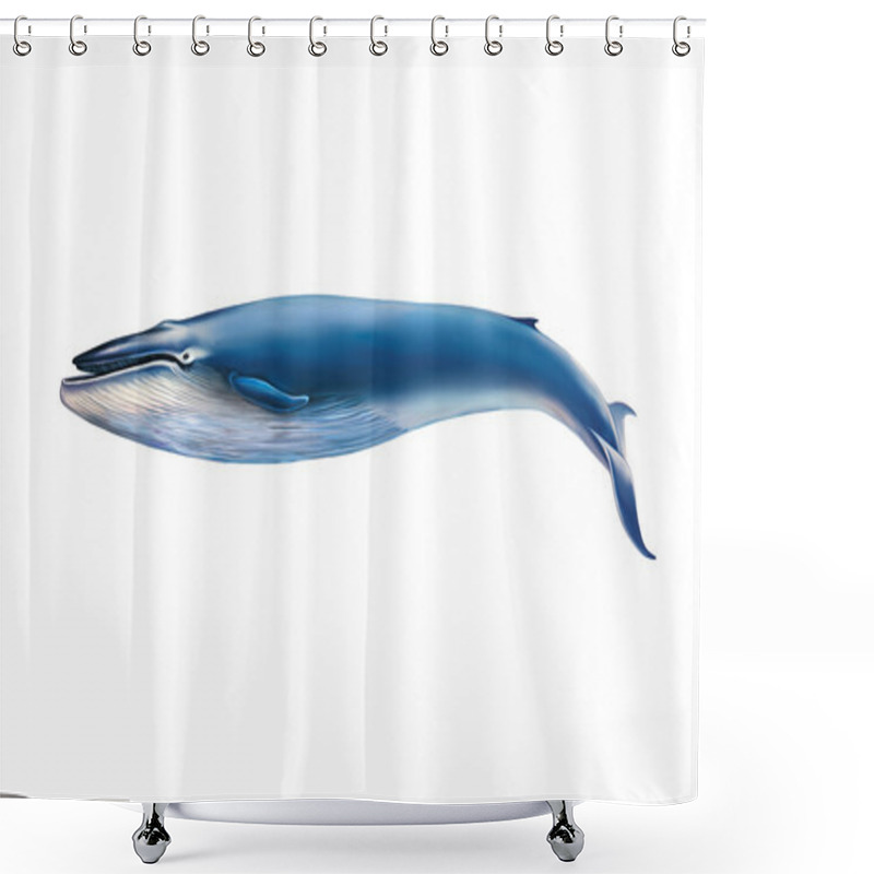 Personality  Blue Whale Isolated On White Background Shower Curtains