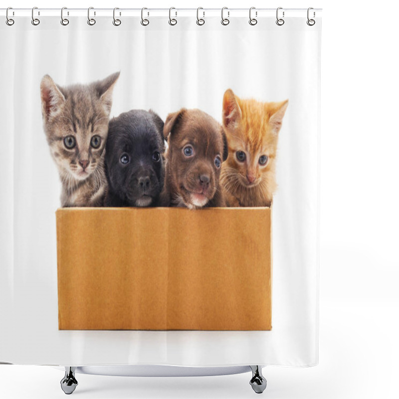 Personality  Kittens And A Puppies In A Box Isolated On A White Background. Shower Curtains