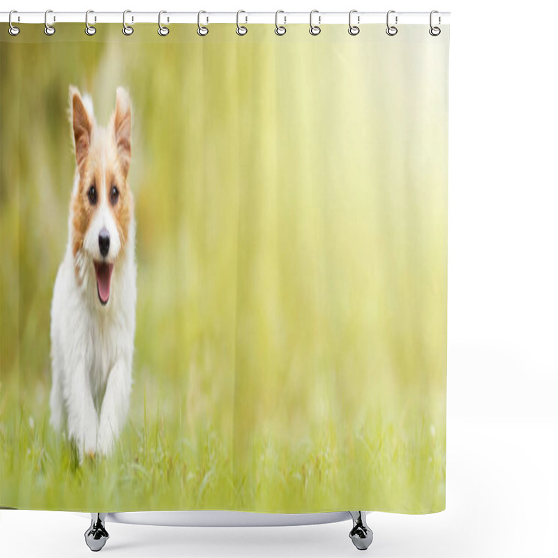 Personality  Cute Happy Fluffy Active Pet Dog Running, Walking In The Grass. Puppy Obedience Training Banner. Shower Curtains