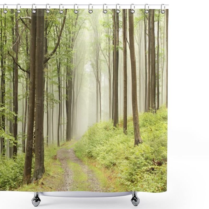 Personality  Path Through Foggy Forest Shower Curtains