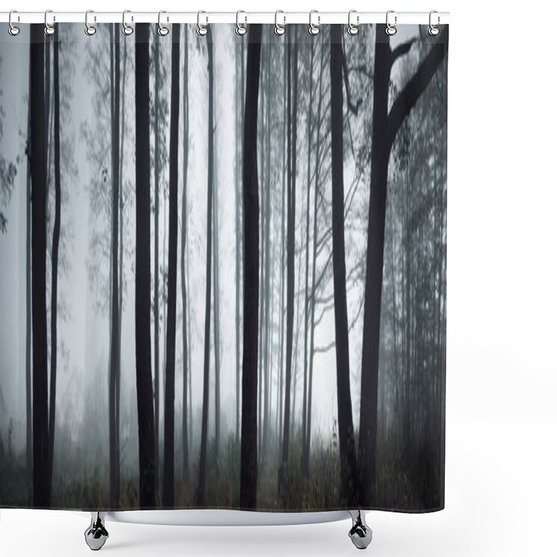 Personality  Tall Tree Silhouettes In A Thick Morning Fog. The Light Flowing Through The Trunks. Dark Mystical Forest Scene. Creepy Landscape. Fantasy, Fairy Tale, Silence Shower Curtains