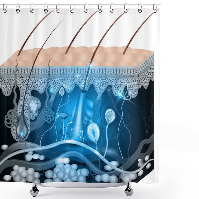 Personality  Skin Anatomy Abstract Blue Design Shower Curtains