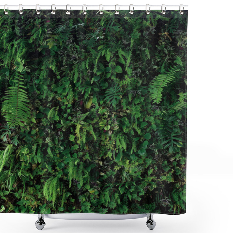 Personality  Vertical Garden Nature Backdrop, Living Green Wall Of Devil's Ivy, Ferns, Philodendron, Peperomia, Inch Plant And Various Types Of Tropical Rainforest Foliage Plants On Dark Background. Shower Curtains