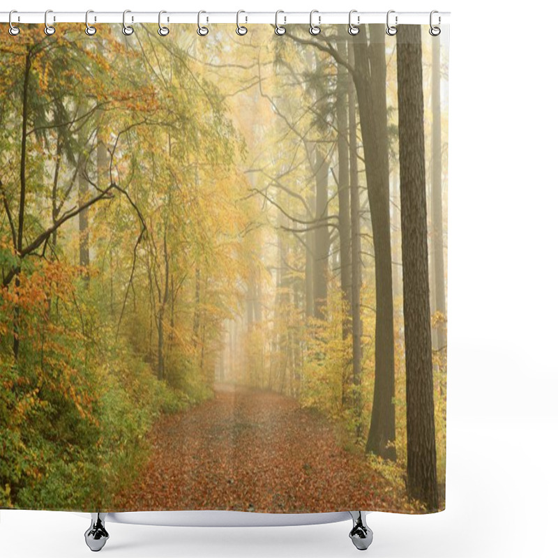 Personality  Autumn Forest On A Misty Morning Shower Curtains