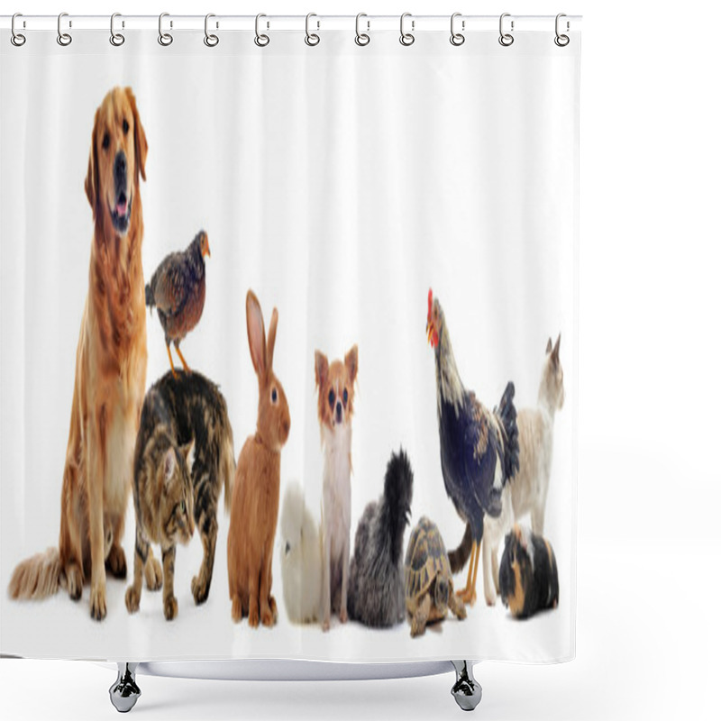 Personality  Group Of Pets Shower Curtains