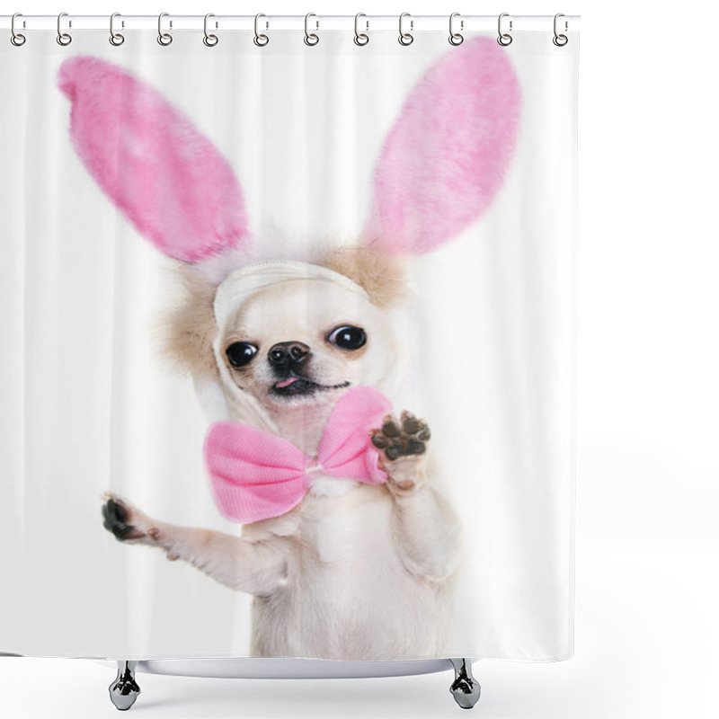 Personality  Chihuahua With Funny Ears Shower Curtains