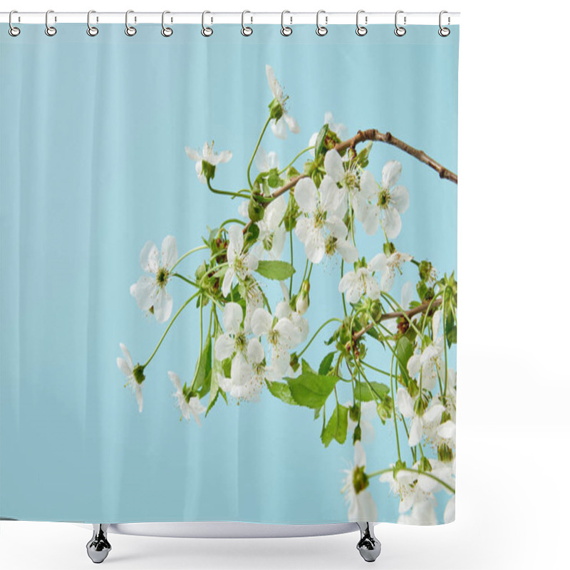 Personality  Close-up Shot Of Branch Of Beautiful Cherry Flowers Isolated On Blue Shower Curtains