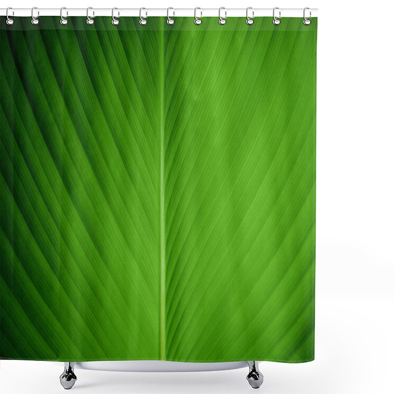 Personality  Closeup View Of A Green Banana Leaf Shower Curtains