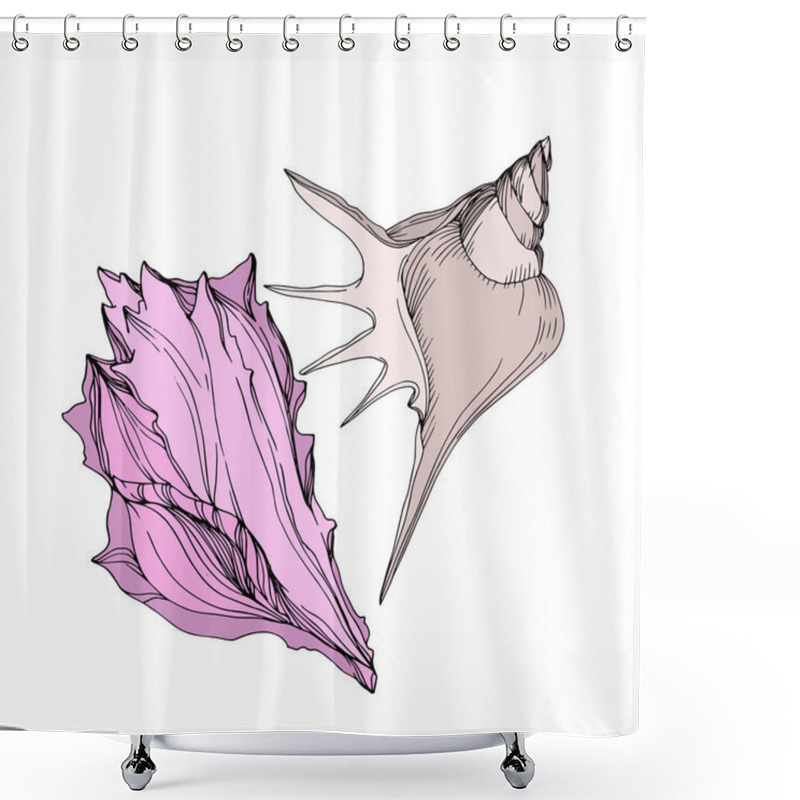 Personality  Vector Summer Beach Seashell Tropical Elements. Engraved Ink Art. Isolated Shells Illustration Element. Shower Curtains