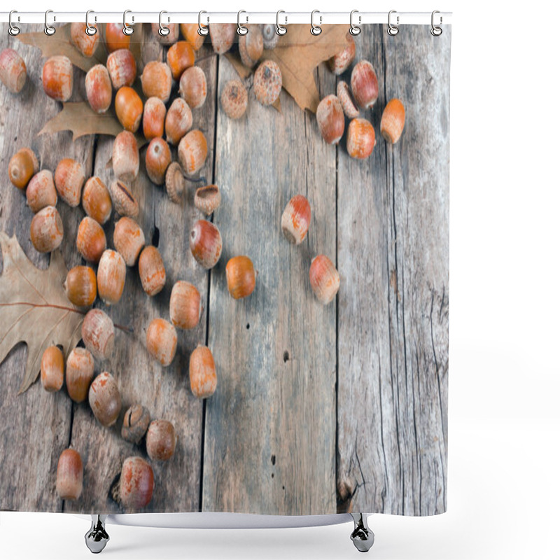 Personality  Autumn Oak Leaves And Acorns On The Abstract Background Shower Curtains