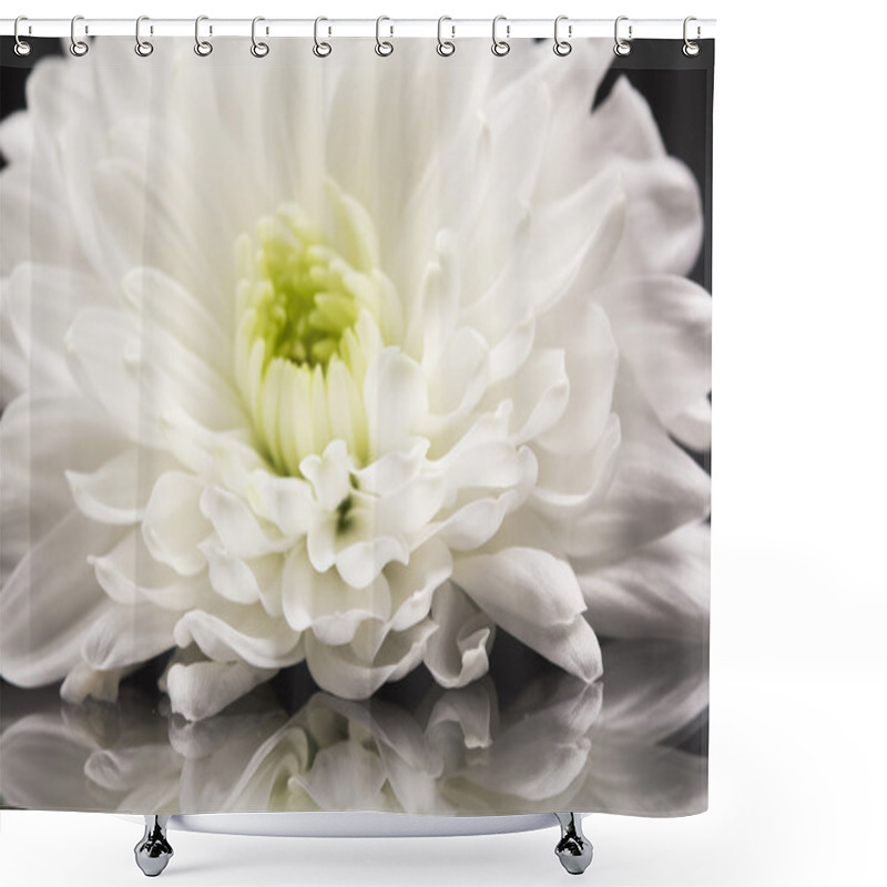 Personality  Chrysanthemum Flower Shower Curtains