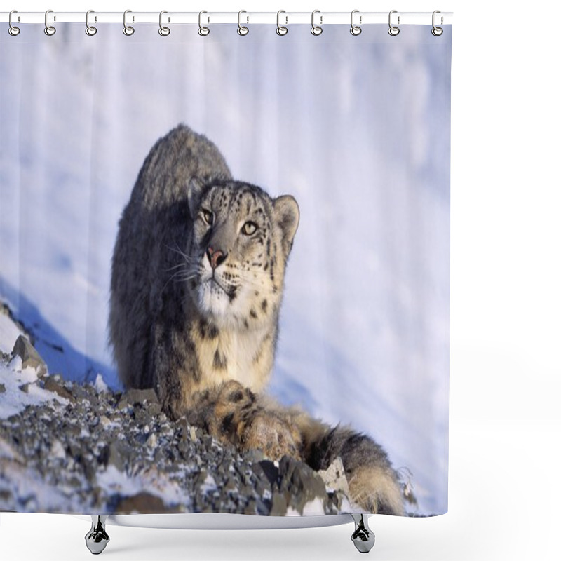 Personality  Snow Leopard In Snow Shower Curtains