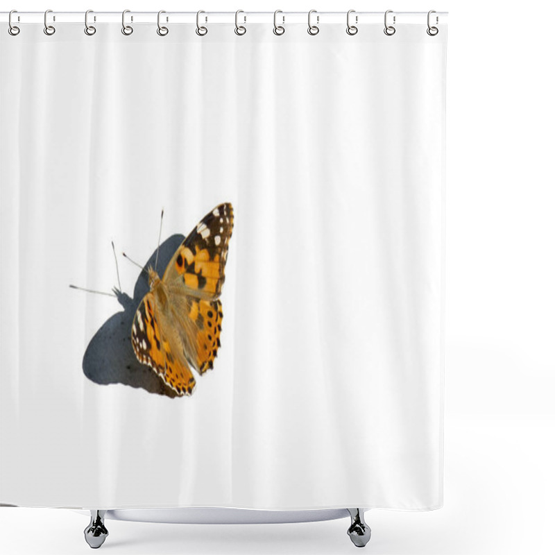 Personality  Butterfly Isolated On A White Background. Top View. Shower Curtains