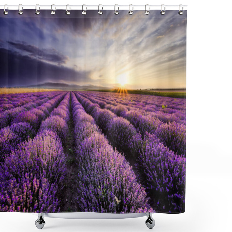 Personality  Lavender Sunrise Shower Curtains