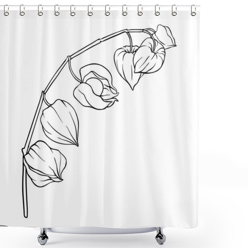 Personality  Phisalis Branch With Berries Outline Illustration. Vector Isolated For Design Or Decoration Shower Curtains