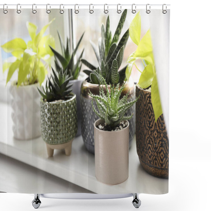 Personality  Beautiful Potted Houseplants On Window Sill Indoors Shower Curtains