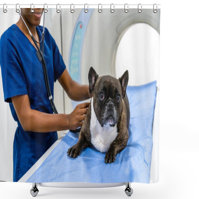 Personality  Examination. Close Up Of A Dog Lying On A Examination Table In Clinic Shower Curtains