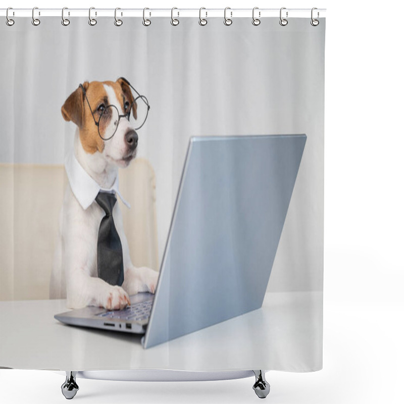 Personality  Dog Jack Russell Terrier In Glasses And A Tie Sits At A Desk And Works At A Computer On A White Background. Humorous Depiction Of A Boss Pet. Shower Curtains