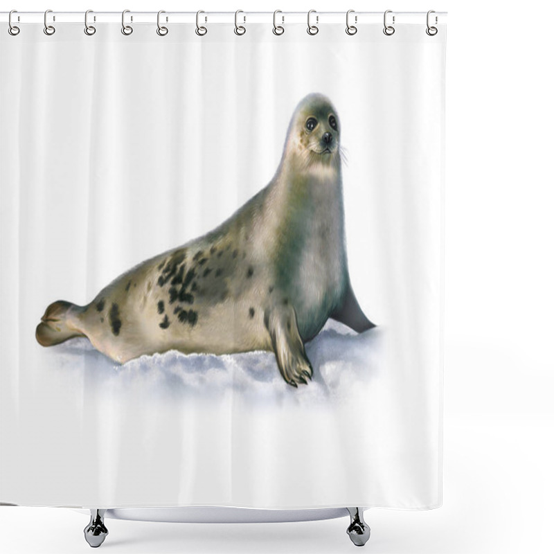 Personality  Harp Seal (Pagophilus Groenlandicus), Realistic Drawing, Illustration For The Encyclopedia Of Animals Of The Arctic, Isolated Image On A White Background Shower Curtains