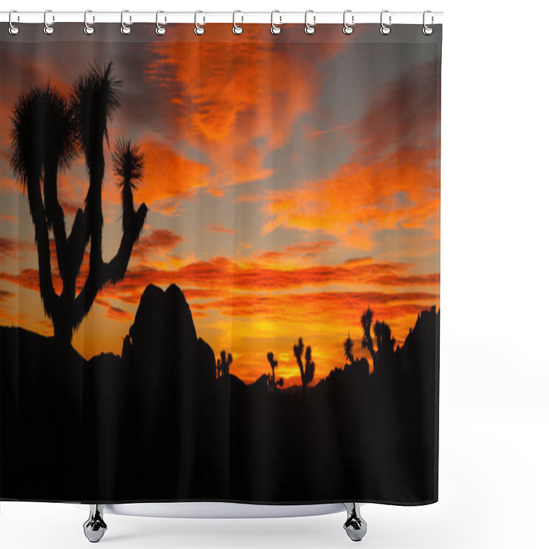 Personality  Joshua Tree Sunset Cloud Landscape California National Park  Shower Curtains