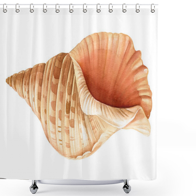 Personality  Watercolor Seashells Set Isolated White Background. Hand Drawn Illustration. Collection Realistic Sea Shell For Design. High Quality Illustration Shower Curtains