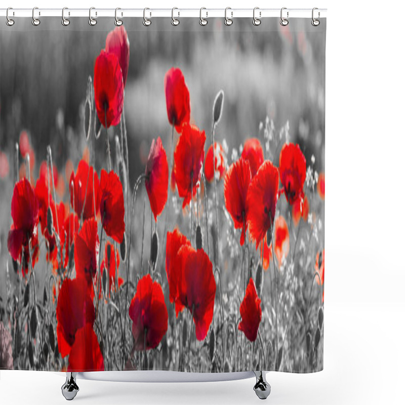 Personality   Red Poppies, Black And White Shower Curtains