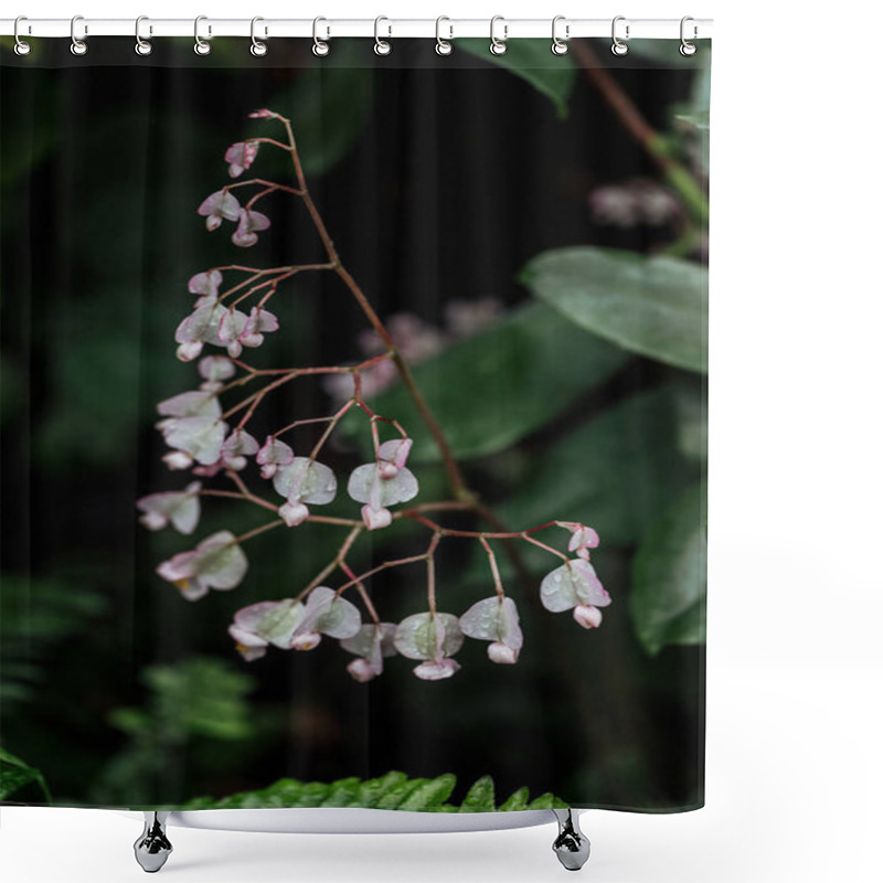 Personality  Close Up View Of White Tender Flowers On Branch Shower Curtains