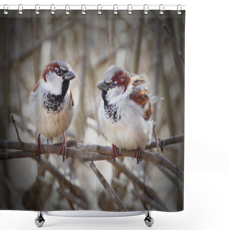 Personality  The Pair Of A House Sparrow Shower Curtains