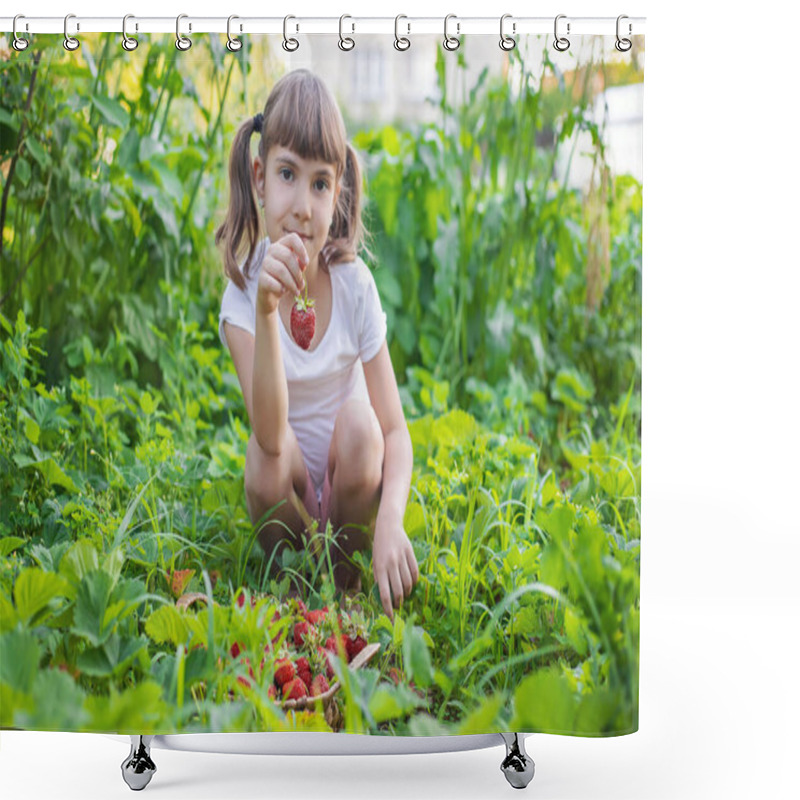 Personality  A Child With Strawberries In The Hands. Selective Focus. Food. Shower Curtains