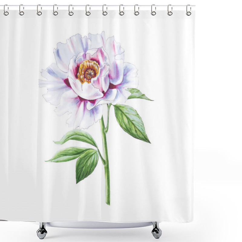 Personality  White Peony Flower Illustration On White Background Shower Curtains