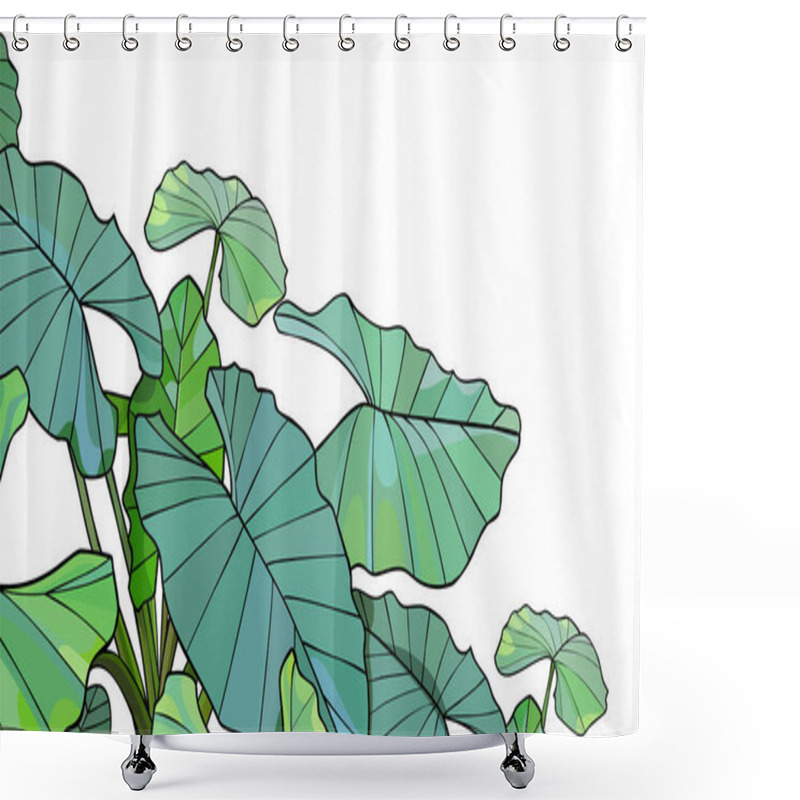 Personality  Green Tropical Plant Alocasia With Large Leaves On A White Background. Vector Image Shower Curtains