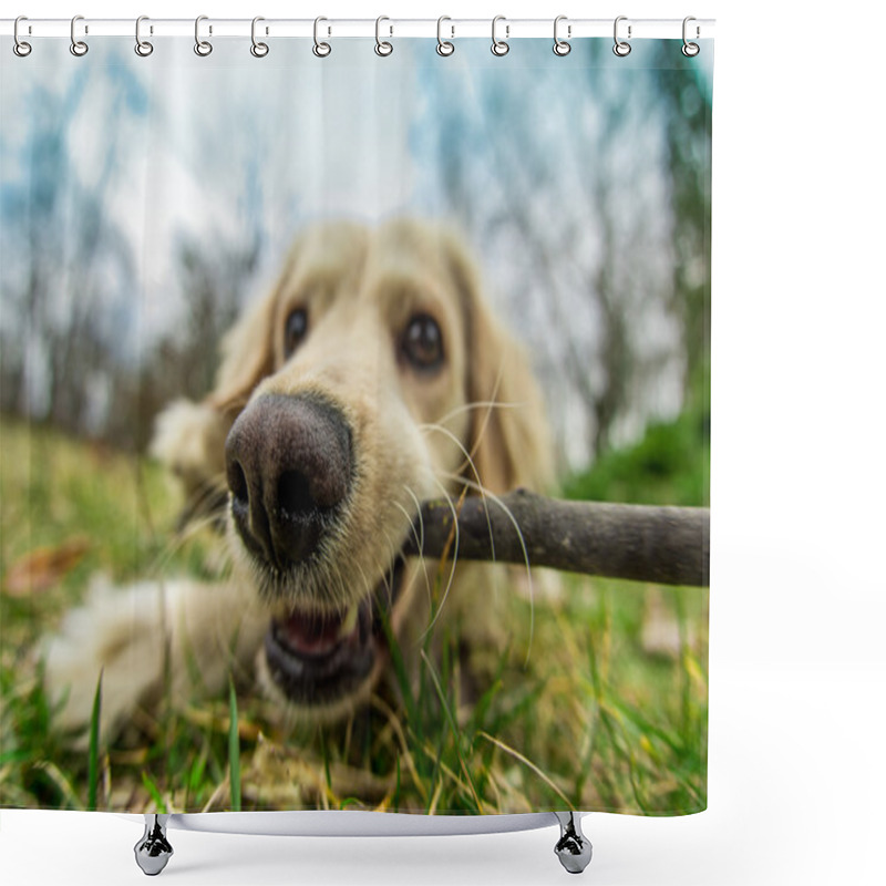 Personality  Chewing The Stick Shower Curtains