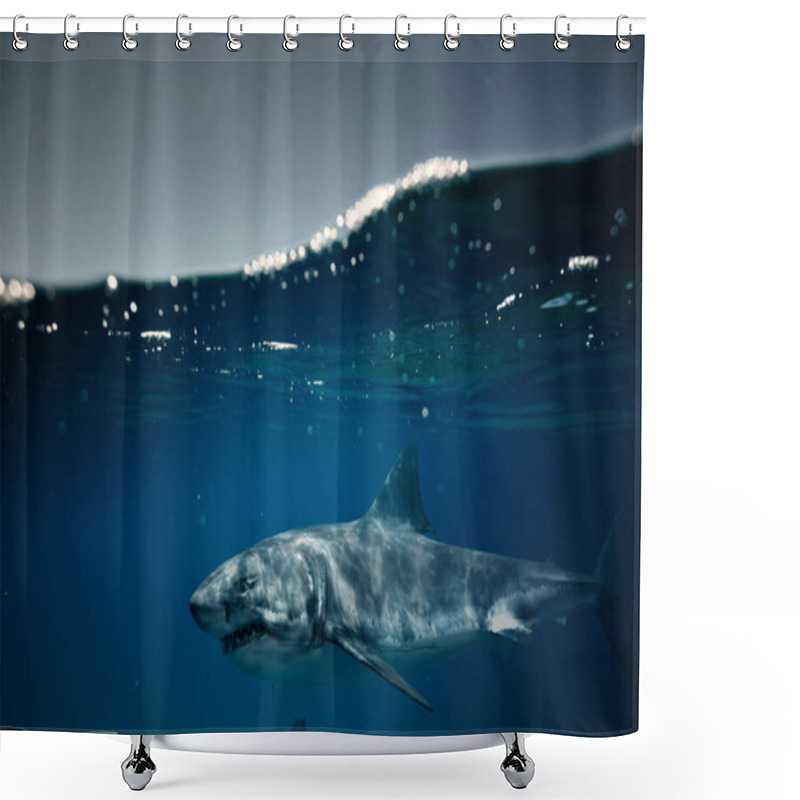 Personality  Great White Shark Shower Curtains