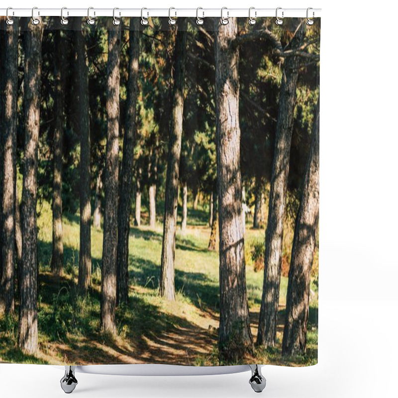 Personality  Trees In Autumn Forest Shower Curtains