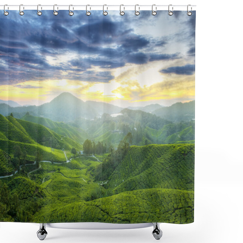 Personality  Tea Plantations. Shower Curtains