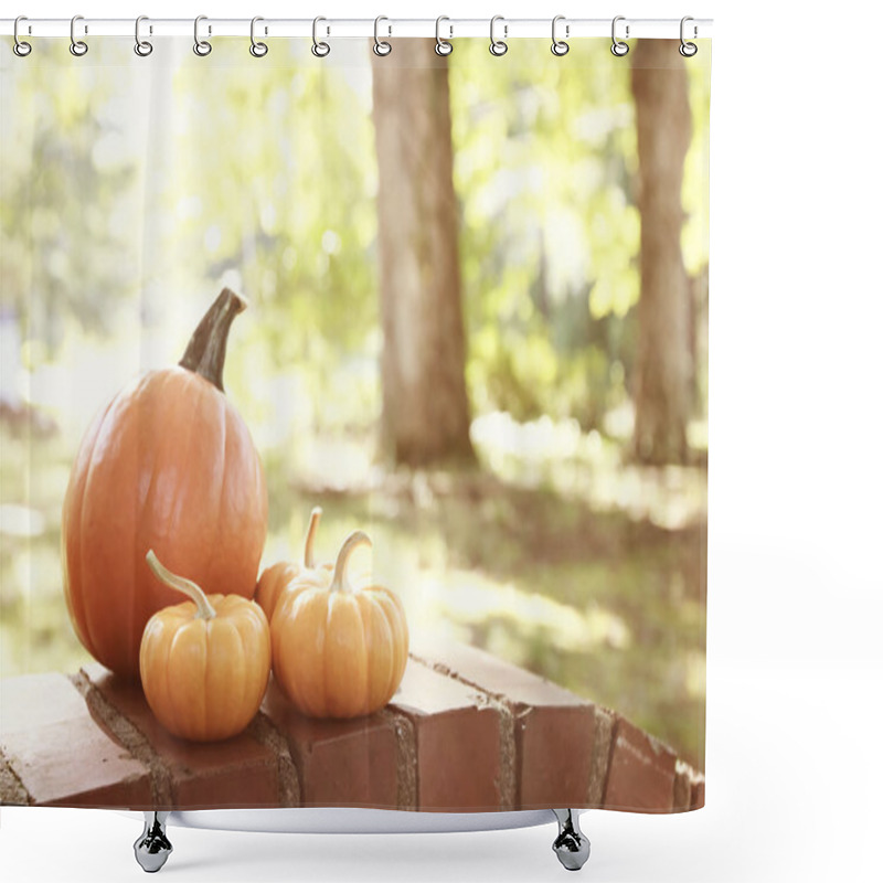 Personality  Pumpkins And Squashes Outside Shower Curtains