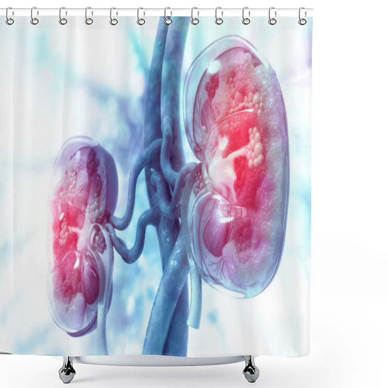 Personality  Human Kidney Cross Section On Scientific Background. 3d Illustration Shower Curtains