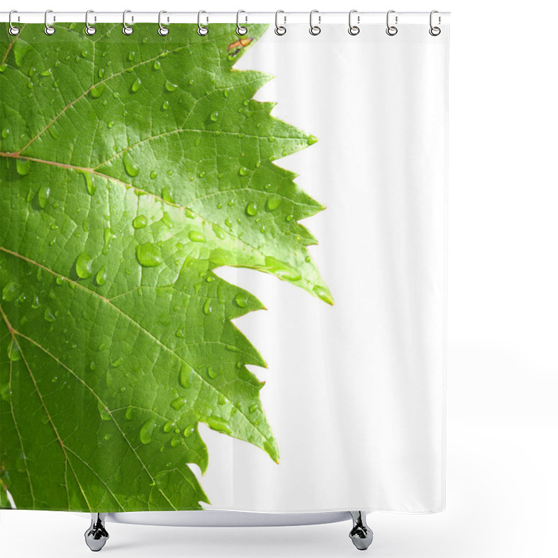 Personality  Grape Leaves On A White Shower Curtains