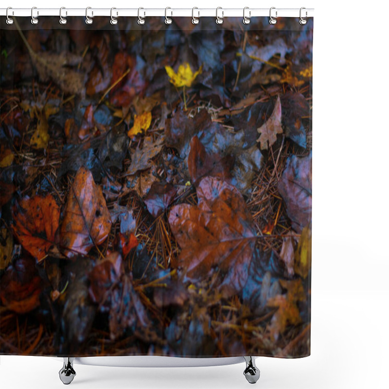 Personality  Brown, Yellow, And Orange Fall Leaves On The Ground With Pine Needles Shower Curtains