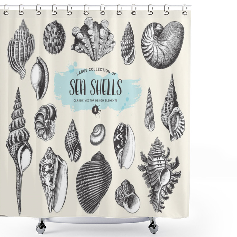 Personality  Retro Summer, Beach And Ocean Vector Design Elements: Large Collection Of Hand Drawn Vintage Sea Shells And Snails Shower Curtains