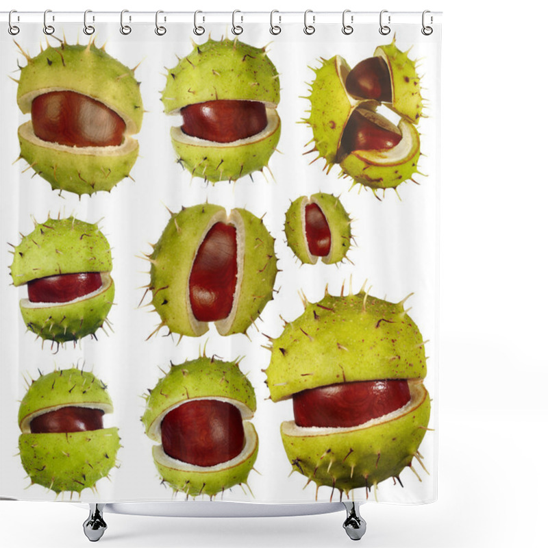 Personality  Chestnuts Shower Curtains