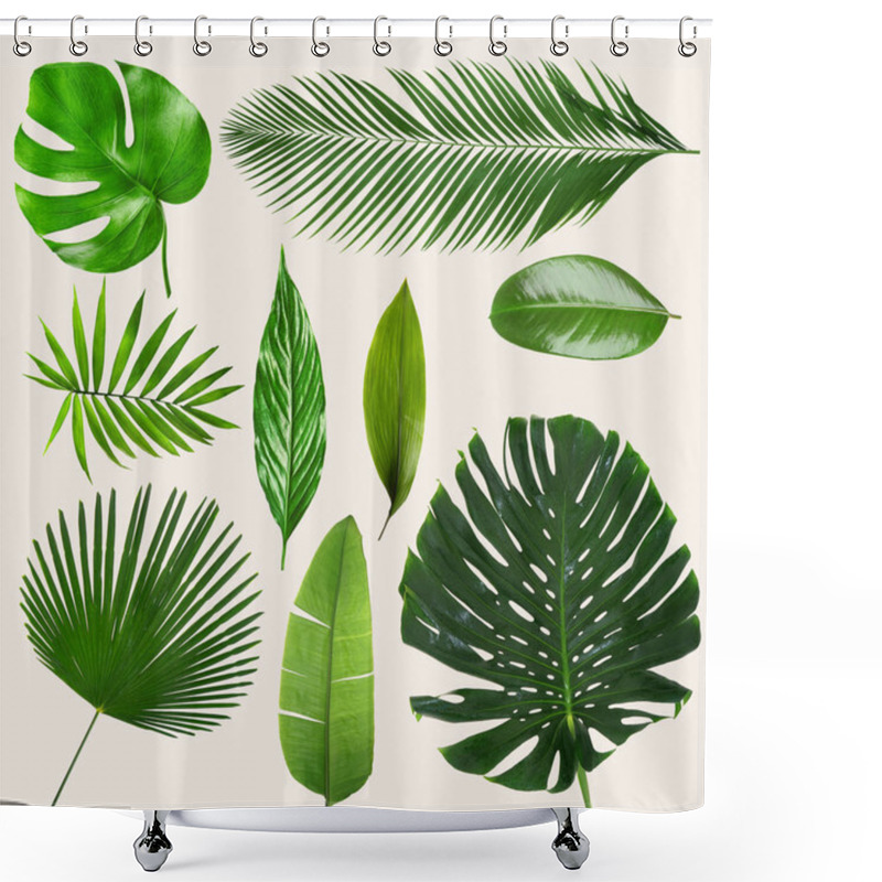 Personality  Different Tropical Leaves  Shower Curtains