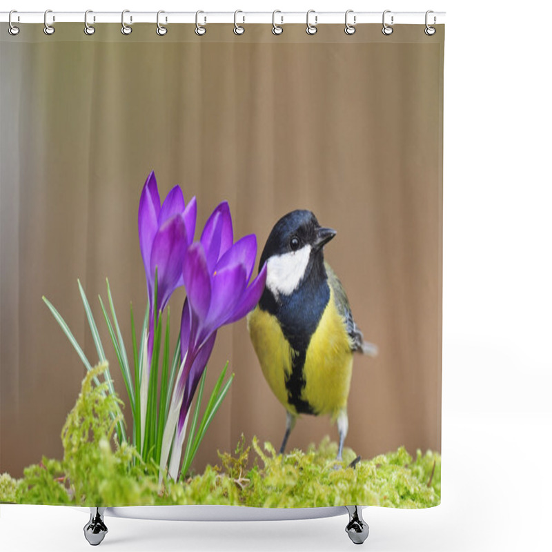 Personality  Great Tit And Crocus Shower Curtains